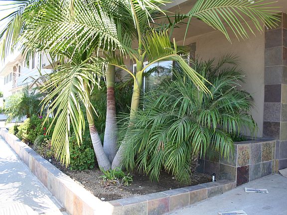 5th image of 4244 Lakewood Blvd #1