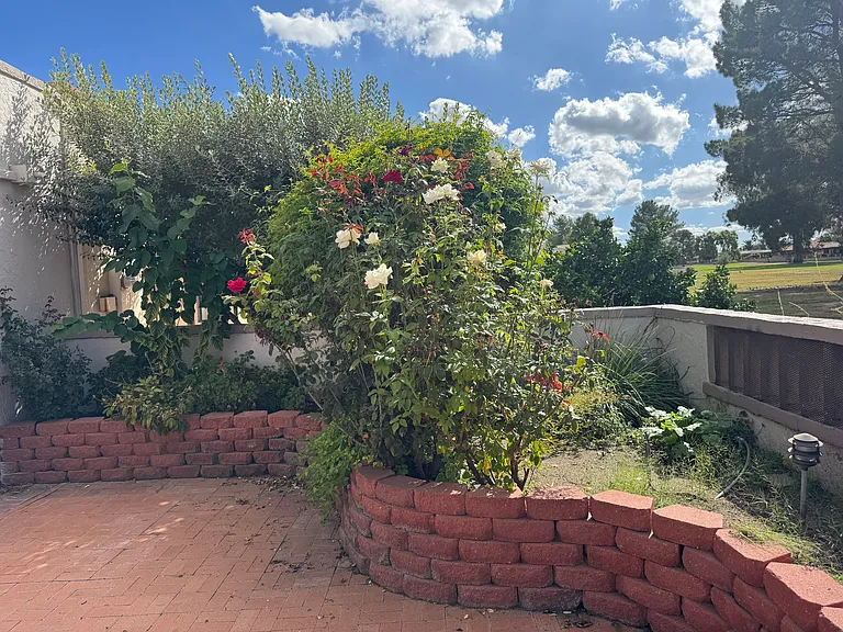 100 E Paseo De Golf — Photo 22