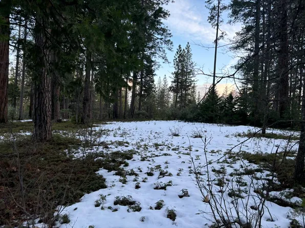 164 Vireo Ct, Avery, CA 95224