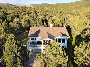 19096 Pinon Dr, Cedaredge, CO 81413