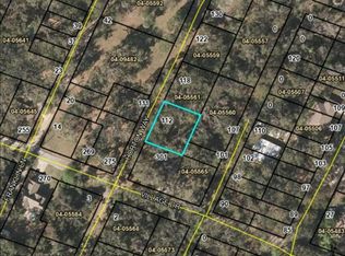 112 Horton Way, Saint Simons Island, GA 31522