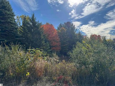 January Dr, Traverse City, MI, 49684