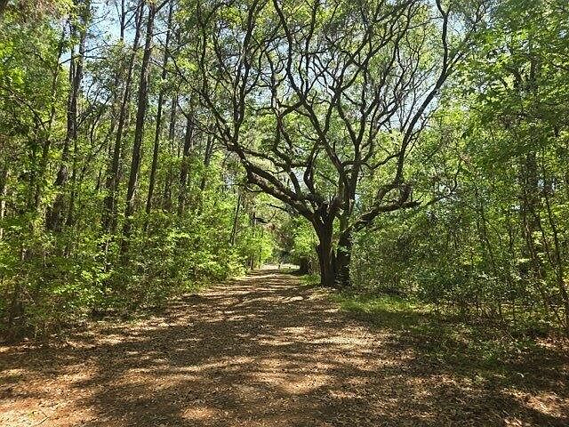 1st image of 0 Bears Bluff Rd Lot B