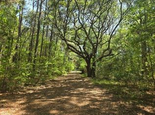 0 Bears Bluff Rd LOT B, Wadmalaw Island, SC 29487