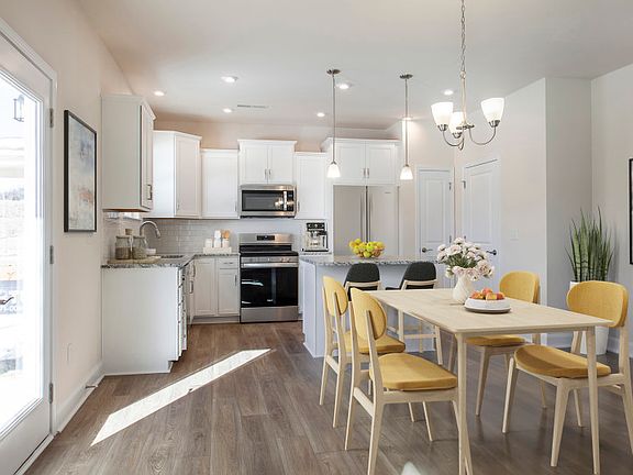 Model Representation