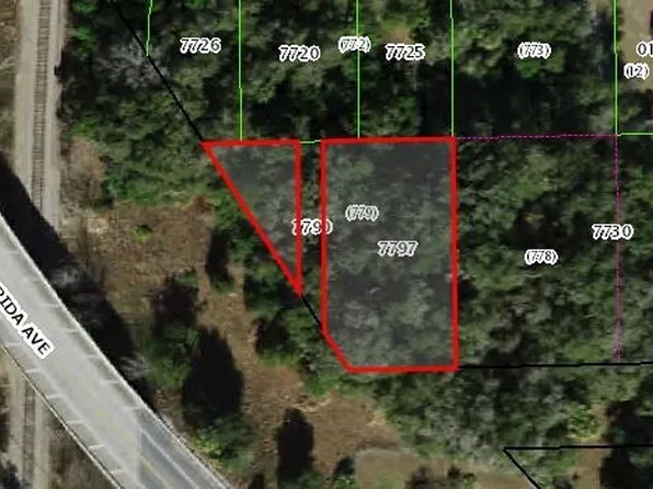 1819 W Attucks Ln, Dunnellon, FL 34434