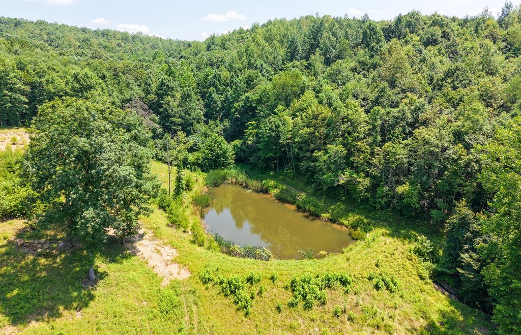 Real estate listing image