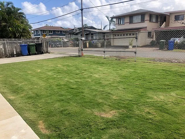 3 bed, 866 sqft, $3,000 — Photo 4