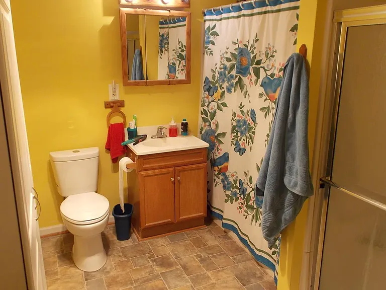 37481 Harrow Hills Ct — Photo 13