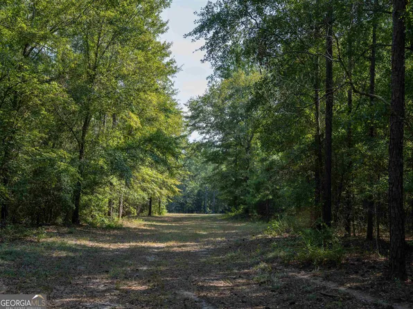 0 Smith Rd, Oglethorpe, GA 31068