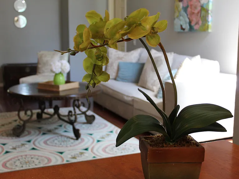 1009 Hatteras Dr — Photo 3