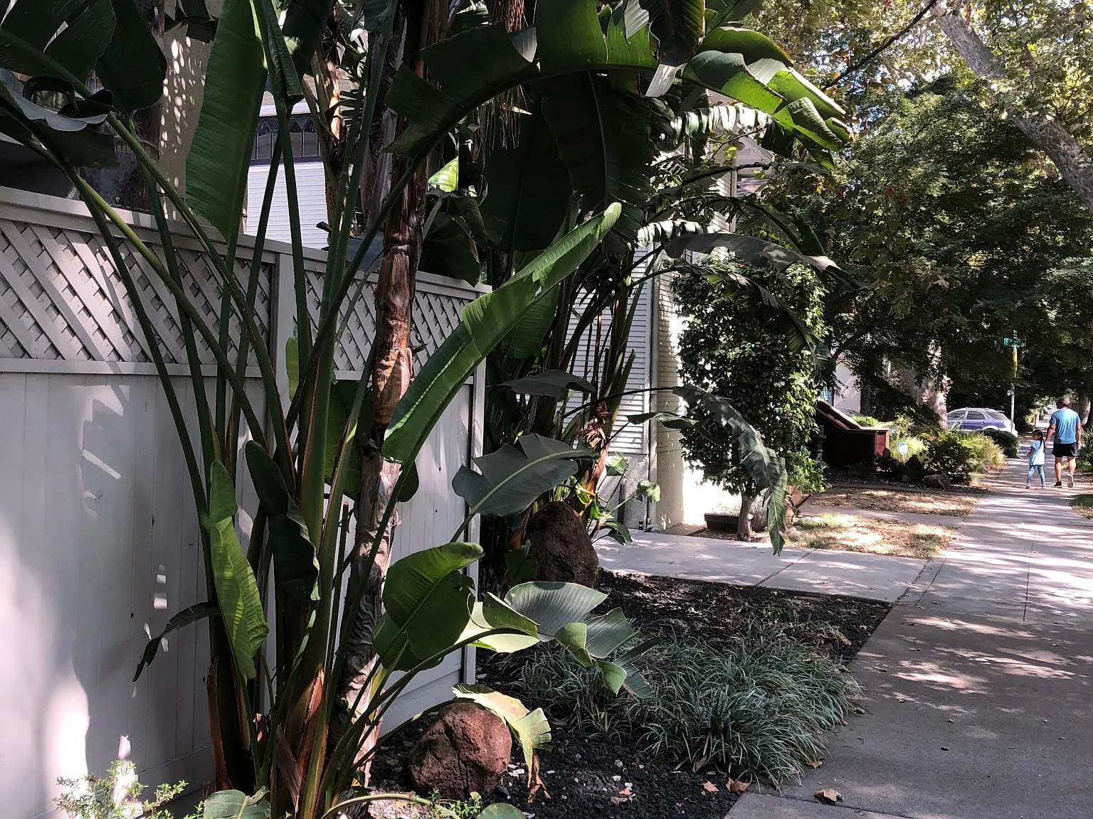 2617 G St — Photo 2