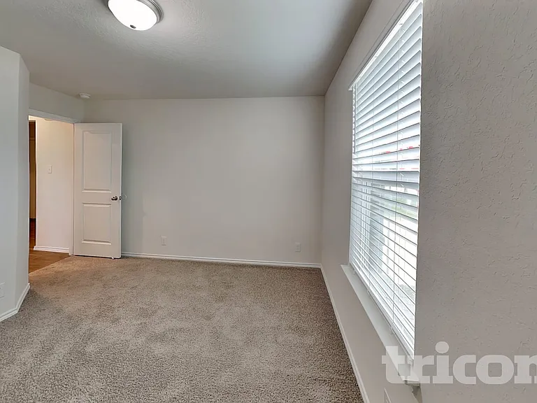 15406 Shortwing — Photo 10