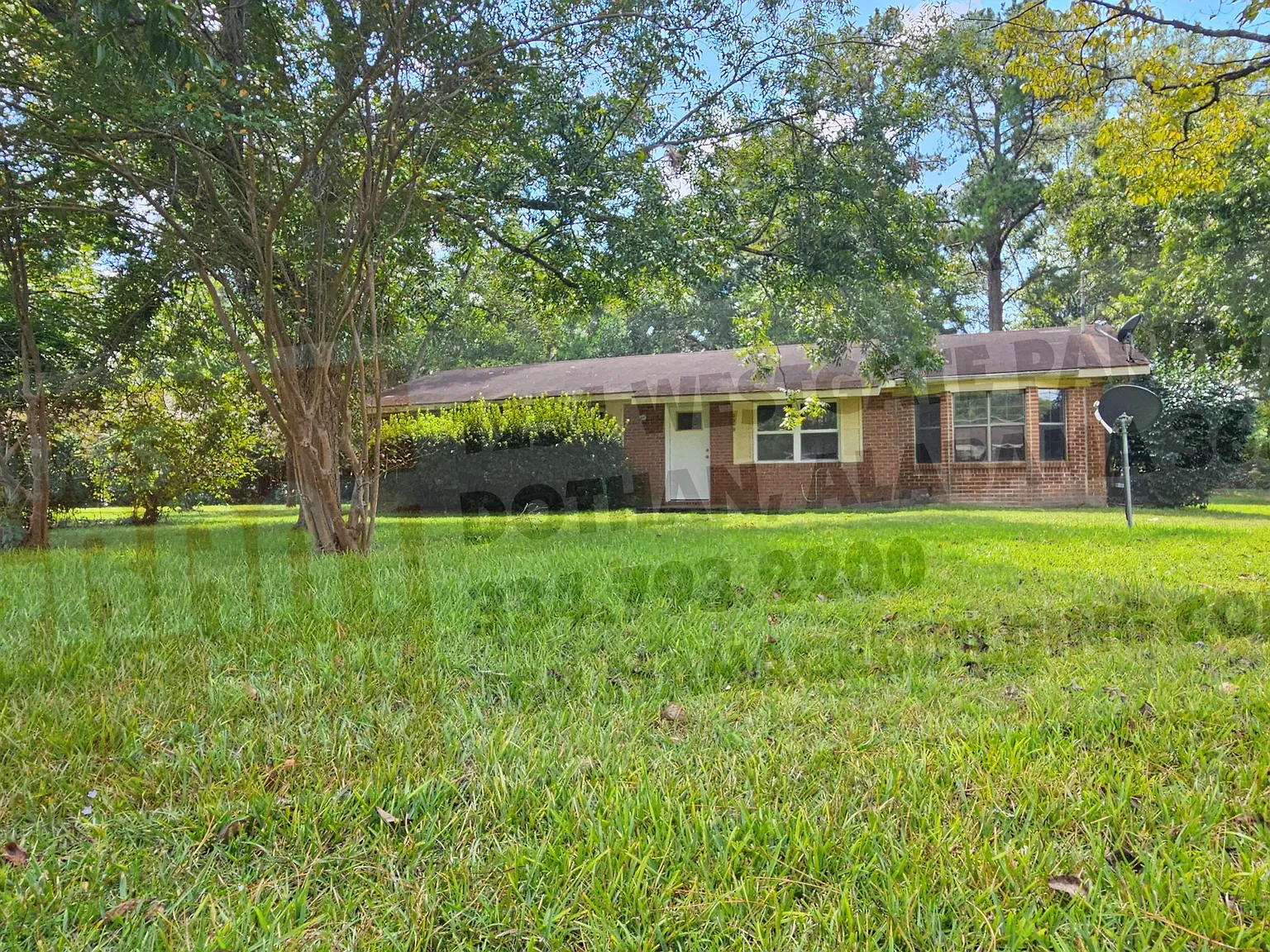 3309 Cathy Lou - Cathy Lou — Photo 4