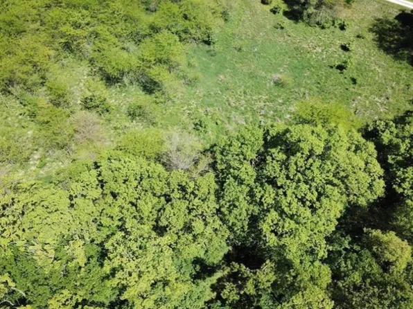 0 Highway 79, Louisiana, MO 63353