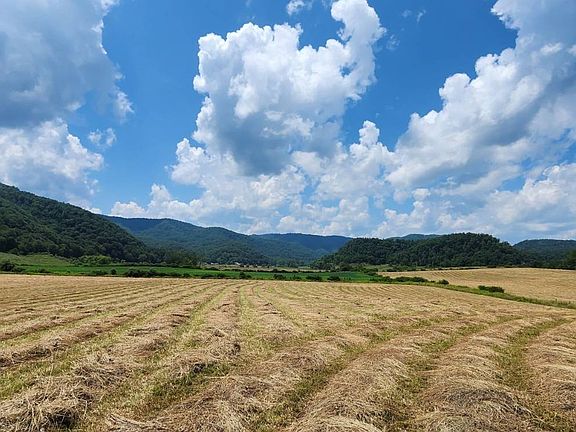 77th image of this home