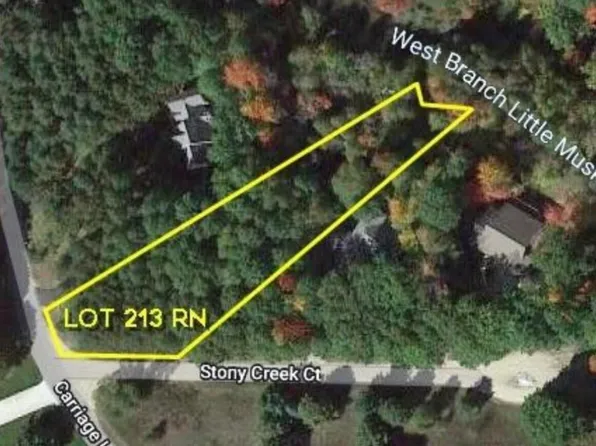 9750 Stony Creek Ct, Stanwood, MI 49346