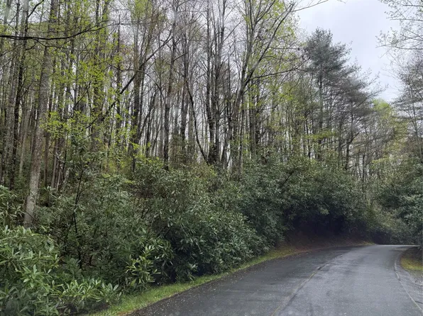 0 Holly Rd, Sapphire, NC 28774