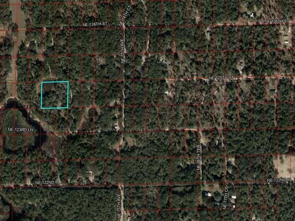 LOT 110 & 111 NE 125th Ave, Bronson, FL 32621