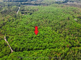 0 Healey Lake Rd, Bracebridge, ON P1L 1X3