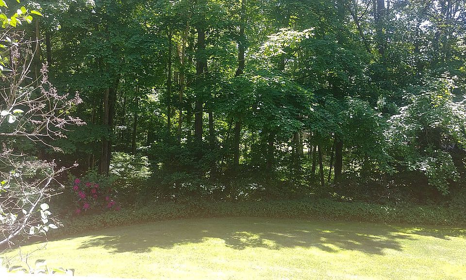 Very private, backyard 