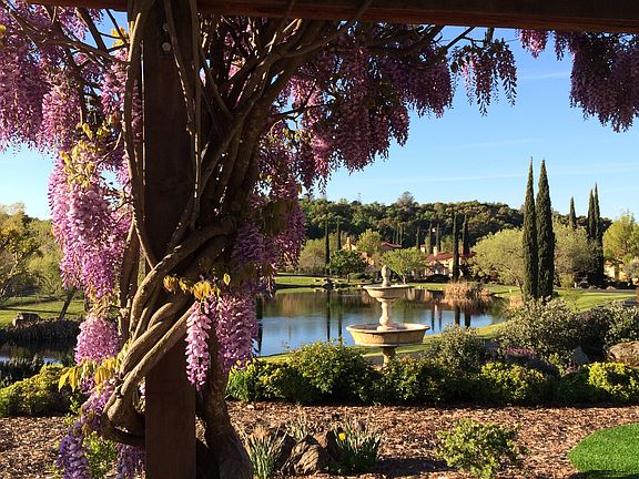 3rd image of 9745 Clos Du Lac Cir