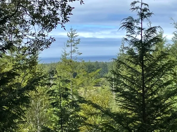 55219 Skyview Rd, Bandon, OR 97411