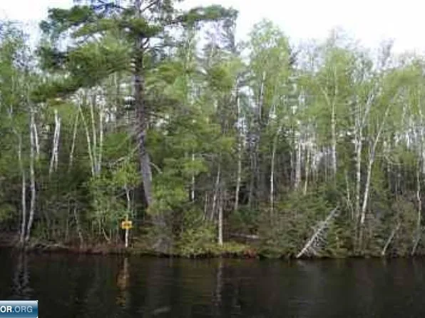 Xx Pine Is NW, Tower, MN 55790
