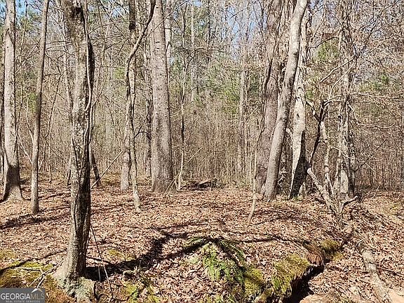 5th image of 0 Old Copelan Rd