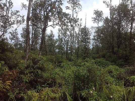 3rd image of Coconut Dr Lot 14