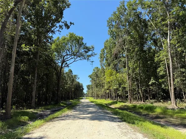 Dr 7 10ac NW #193, Micanopy, FL 32667