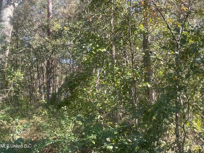 Narcissus Dr #42, Gautier, MS, 39553