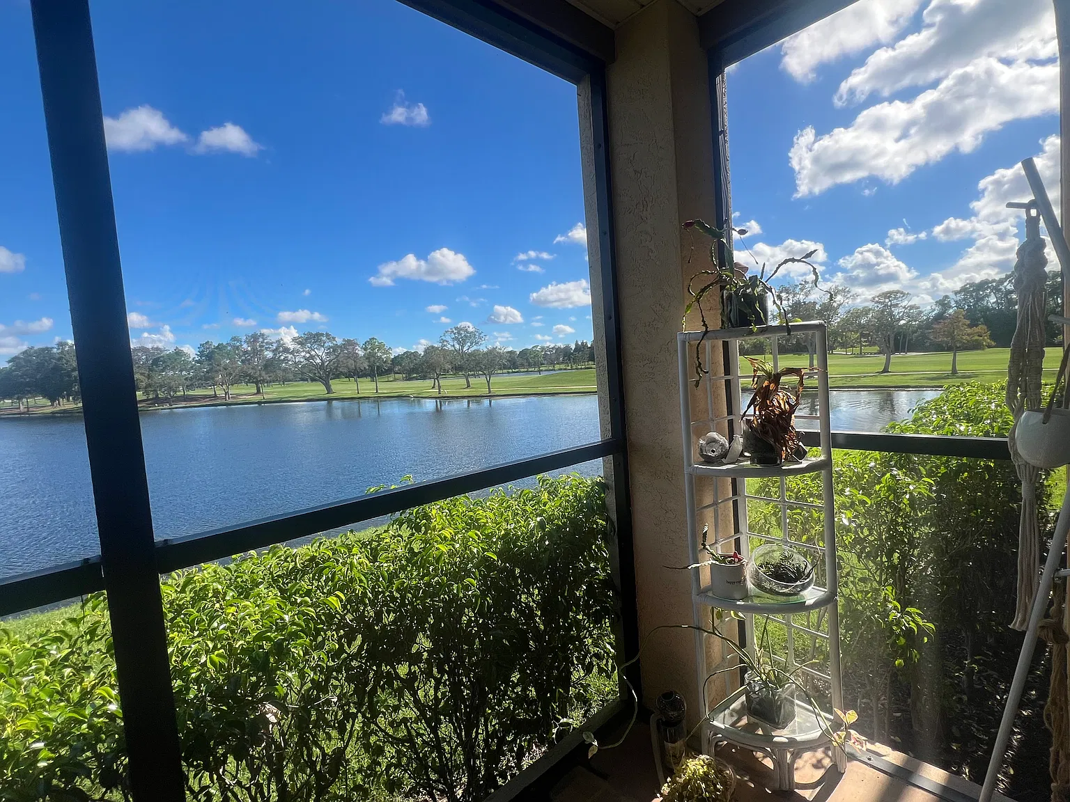 2 bed, 972 sqft, $2,200 — Photo 3