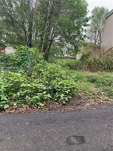 2nd image of 302 Langley Ave
