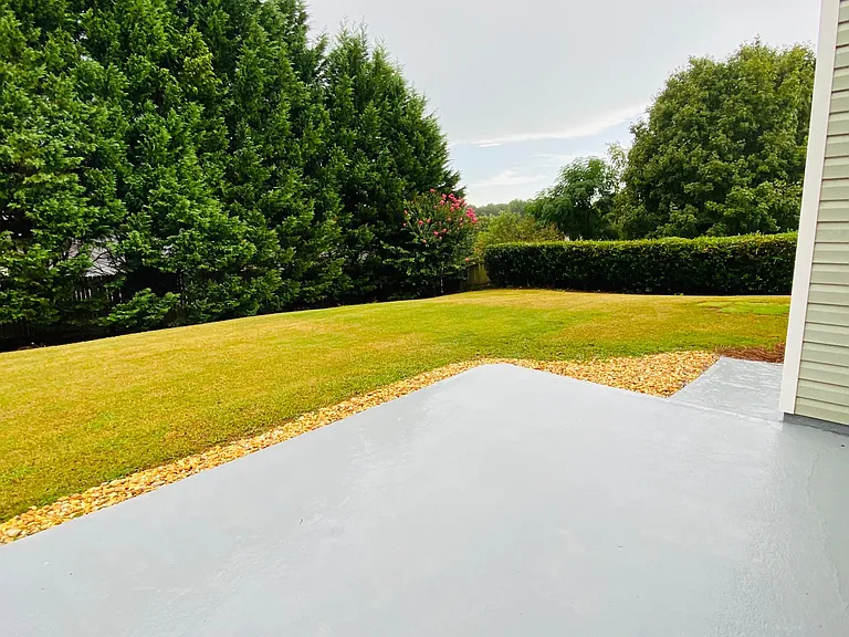 Backyard
