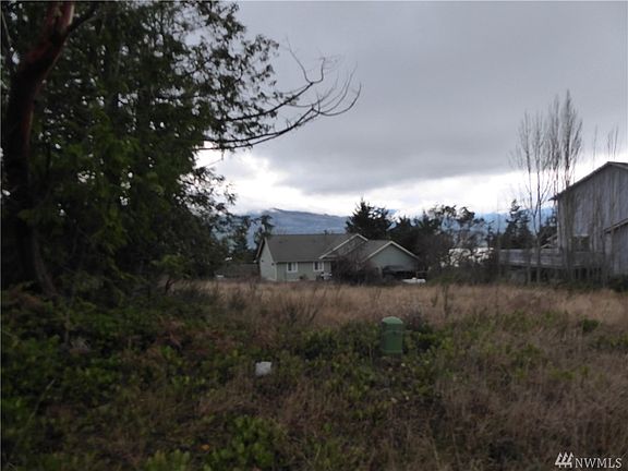 Looking from near the NE corner of Lot 23 toward the Olympic mountains and Discovery Bay.
