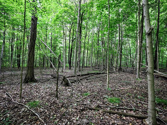 3rd image of Black River Rd