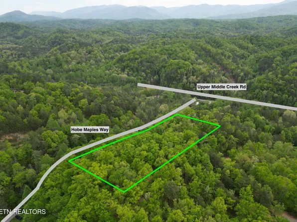 Hobe Maples Way, Sevierville, TN 37876