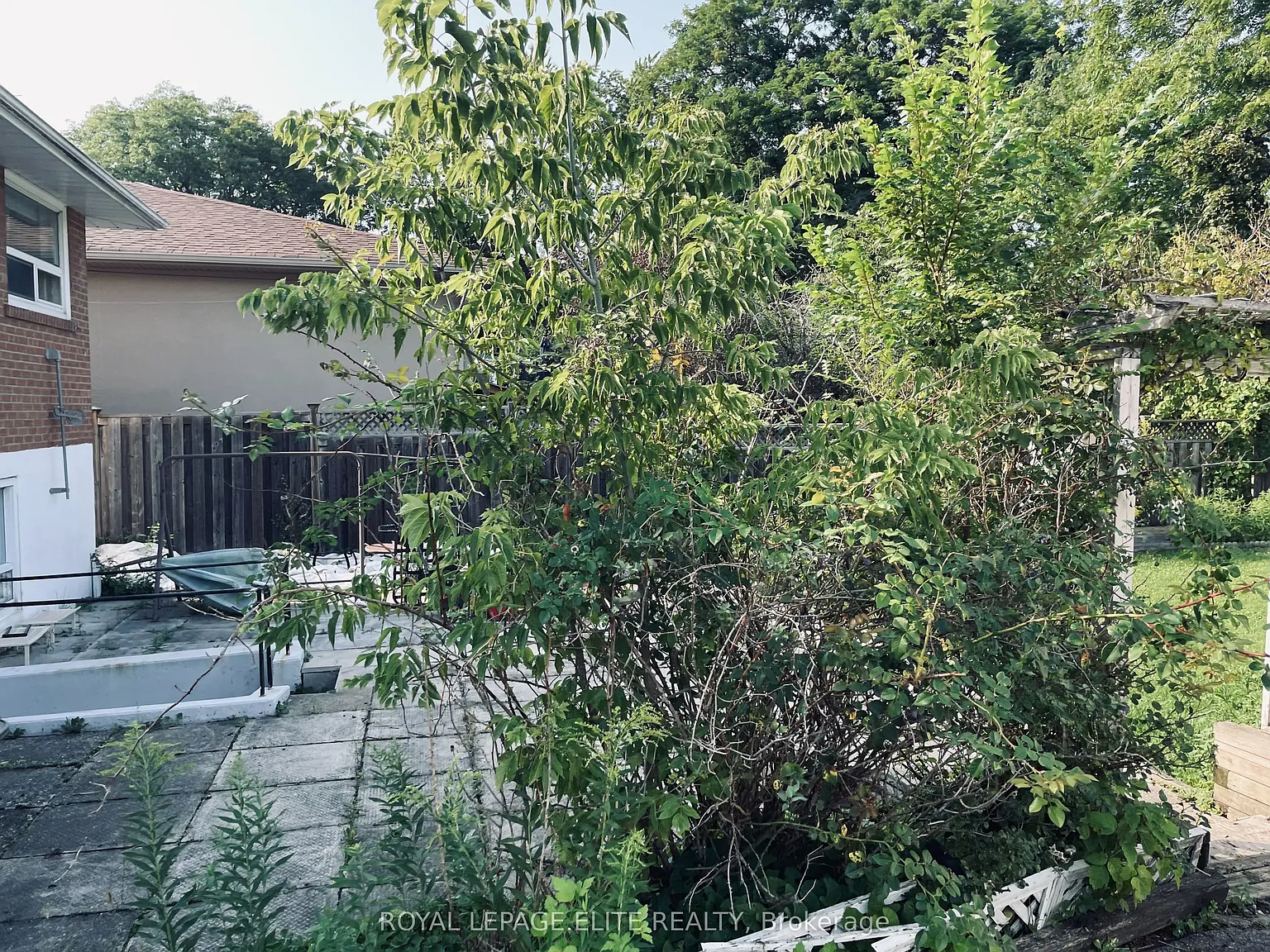 1 bed, $1,500 — Photo 4