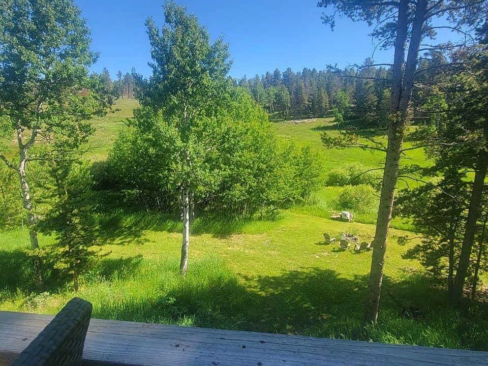backyard view