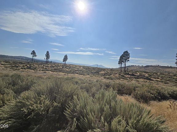 5th image of Ram Rd #6