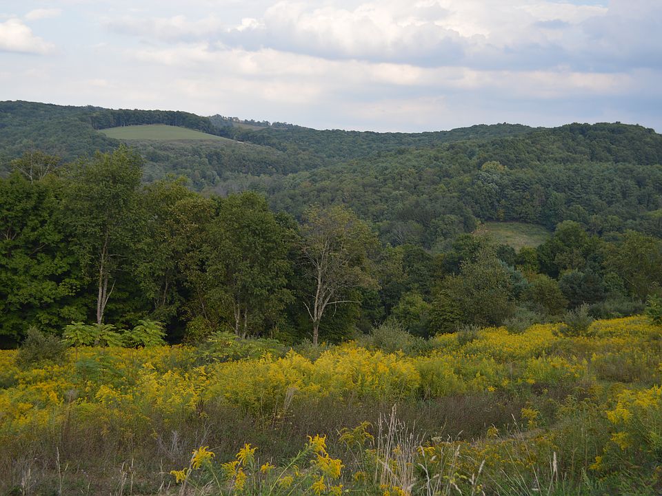2nd image of Kahler Hills Rd