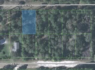 111 August Ave, Georgetown, FL 32139