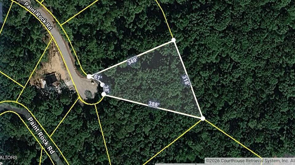 1st image of Evergreen Cv