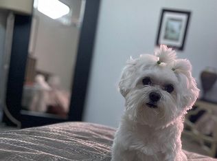 2679 NW 42nd St, Boca Raton, FL 33434