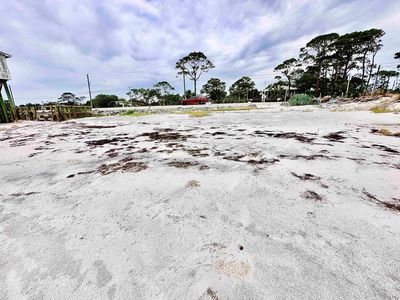 1269 Alligator Dr, Panacea, FL, 32346