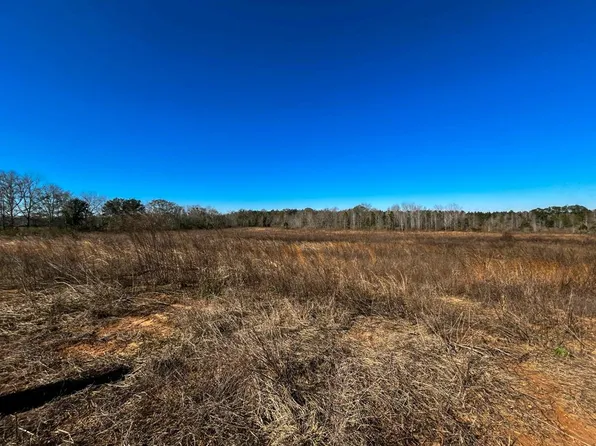 2776 New Hinson Rd, Slocomb, AL 36375