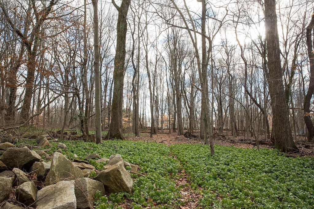 7 Hadley Rd, Armonk, NY 10504 Zillow