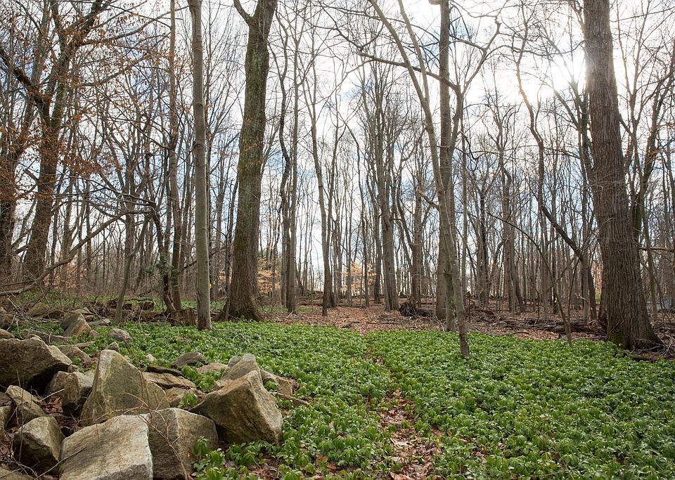 From Middle View to Rear