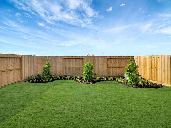 Backyard - June 22, 2026